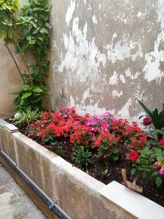 קורצולה Rooms Zela 1 מראה חיצוני תמונה